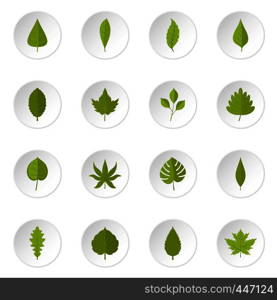 Plant leafs icons set in flat style isolated vector icons set illustration. Plant leafs icons set in flat style