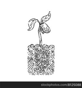 plant leaves appeared sketch hand drawn vector green foliage, tree brancj, spring organic sprout, flower nature. plant leaves appeared sketch hand drawn vector