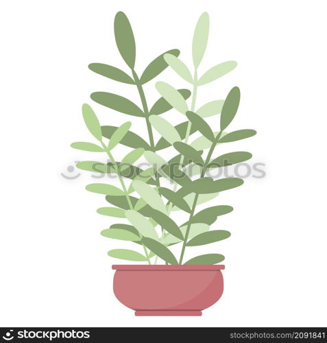 Plant leaves in a pot, beautiful green houseplant isolated vector. Simple trendy flat style for interior garden decoration design.. Plant leaves in a pot, beautiful green houseplant isolated vector.