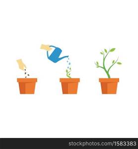 Plant life process illustrtation vector flat design