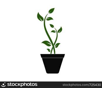 plant logo icon vector illustration design template