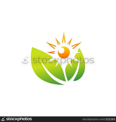 plant nature wellness logo, health sun botany leaf ecology sunlight symbol icon vector design