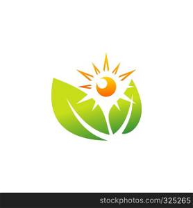 plant nature wellness logo, health sun botany leaf ecology sunlight symbol icon vector design