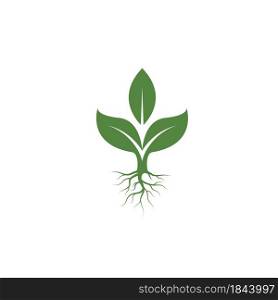 plant or tree icon vector illustration design template web