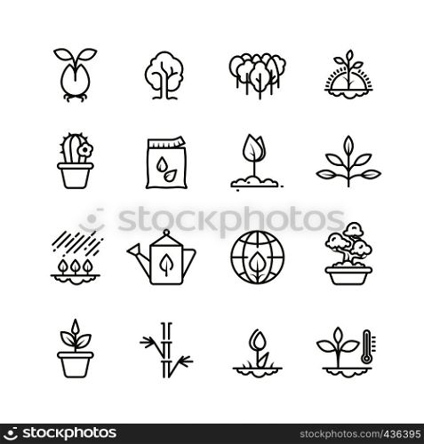 Plant, planting and seed line vector icons. Sprout growing symbols. Illustration of plant and sprout, growth tree. Plant, planting and seed line vector icons. Sprout growing symbols
