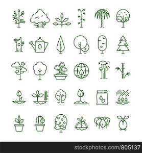 Plant, planting, seed and trees line vector icons. Sprout growing symbols. Nature growing and growth, gardening and organic illustration. Plant, planting, seed and trees line vector icons. Sprout growing symbols