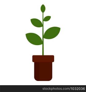 Plant pot icon. Flat illustration of plant pot vector icon for web design. Plant pot icon, flat style