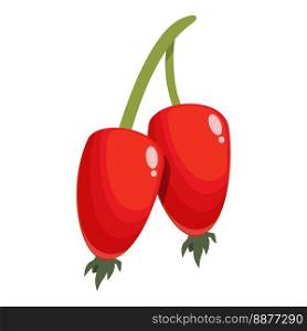 Plant rosehip icon cartoon vector. Forest food. Vitamin ripe. Plant rosehip icon cartoon vector. Forest food