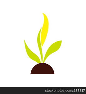 Plant seedling flat icon. Colorful ecology symbol isolated on white background. Plant seedling flat icon