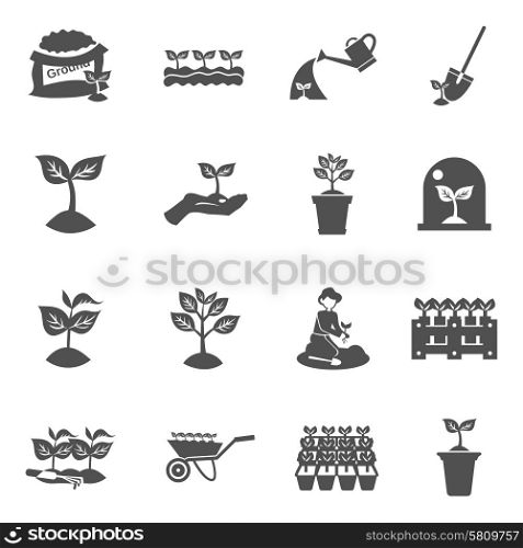 Plant seedling watering and digging equipment black flat icons set isolated vector illustration. Seedling Icons Set