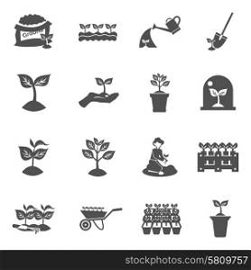 Plant seedling watering and digging equipment black flat icons set isolated vector illustration. Seedling Icons Set