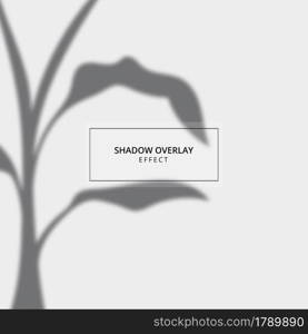 Plant shadow overlay effect on gray background