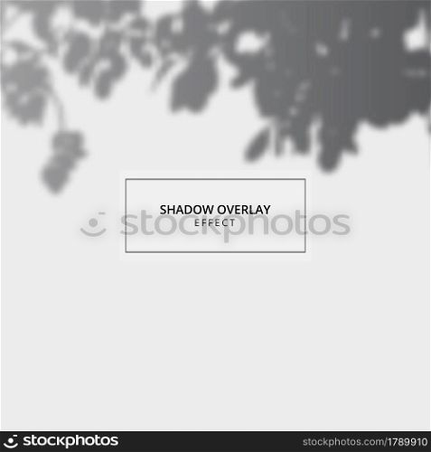 Plant shadow overlay effect on gray background