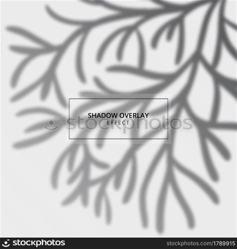 Plant shadow overlay effect on gray background