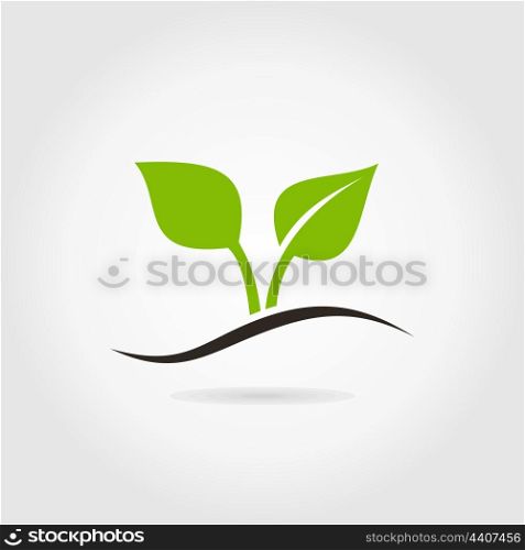 Plant sprout on a grey background. A vector illustration