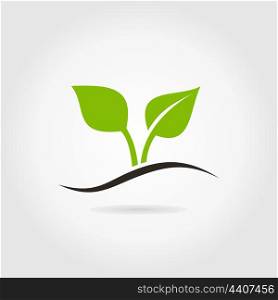 Plant sprout on a grey background. A vector illustration
