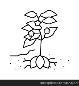 plant sweet potato line icon vector. plant sweet potato sign. isolated contour symbol black illustration. plant sweet potato line icon vector illustration