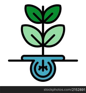 Plant technology seed icon. Outline plant technology seed vector icon color flat isolated. Plant technology seed icon color outline vector