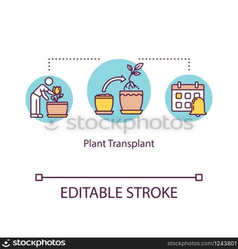 Plant transplant concept icon. Replanting flowers. Transplanting. Moving houseplants. Timely repotting idea thin line illustration. Vector isolated outline RGB color drawing. Editable stroke