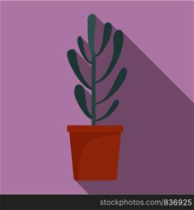 Plant tree cactus icon. Flat illustration of plant tree cactus vector icon for web design. Plant tree cactus icon, flat style