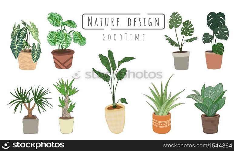 Plant Tree painting Set, Indoor and outdoor landscape garden potted plants isolated on white, Vector set green plant in the pot.