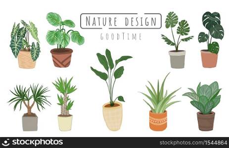 Plant Tree painting Set, Indoor and outdoor landscape garden potted plants isolated on white, Vector set green plant in the pot.