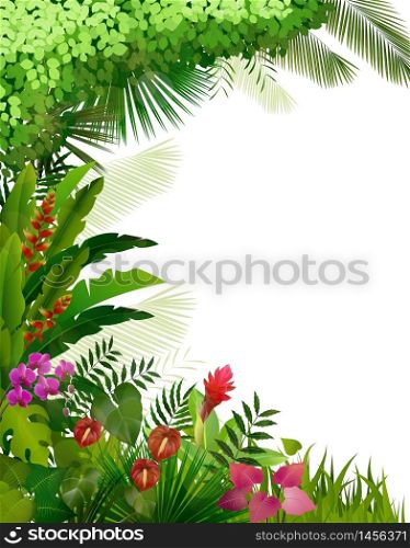 Plant tropical on isolated background.vector