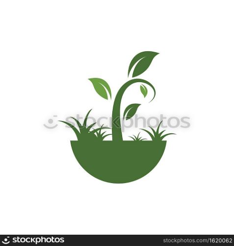 plant vector icon illustration design