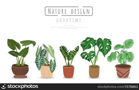 Plant vector set, Indoor and outdoor landscape garden potted plants isolated on white, Vector set green plant in the pot.