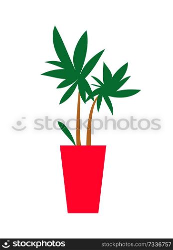 Plant with broad leaves poster, green decorational element with pot of pink color, interior decor of rooms vector illustration, isolated on white. Plant with Broad Leaves Poster Vector Illustration