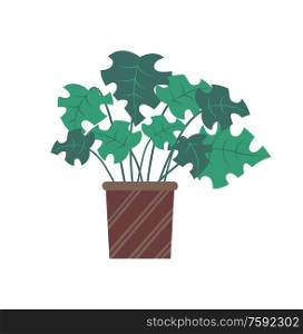 Plant with broad leaves vector, stylish decor for home interior. Decoration natural flower growing in pot with stripes ornaments, brown container. Plant for Room Decoration, Foliage Flora in Pot