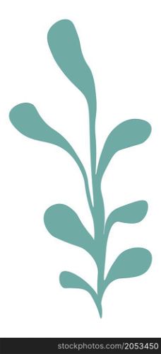 Plant with stem and leaves, isolated twig with foliage. Tree or bush botany, exotic or tropical kind. Springtime and summer revival and blossom, ornaments and decoration. Vector in flat style. Botany plant, branches with leaves and foliage