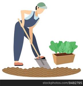 Planting and gardening. A woman is digging the ground for planting plants in the garden. Gardening and plant care. Flat style vector.. Planting and gardening. A woman is digging the ground for planting plants in the garden.
