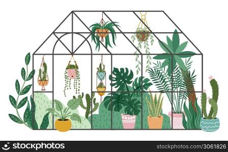 Planting greenhouse. Glass orangery, botanical garden greenhouse, flowers and potted plants home gardening isolated vector illustration. Plants hanging on ropes, growing greenery in pots. Planting greenhouse. Glass orangery, botanical garden greenhouse, flowers and potted plants home gardening isolated vector illustration