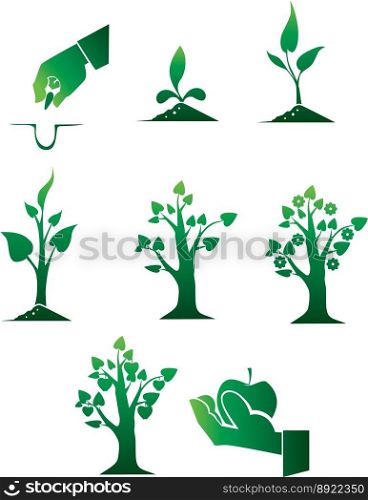 Planting of trees vector image