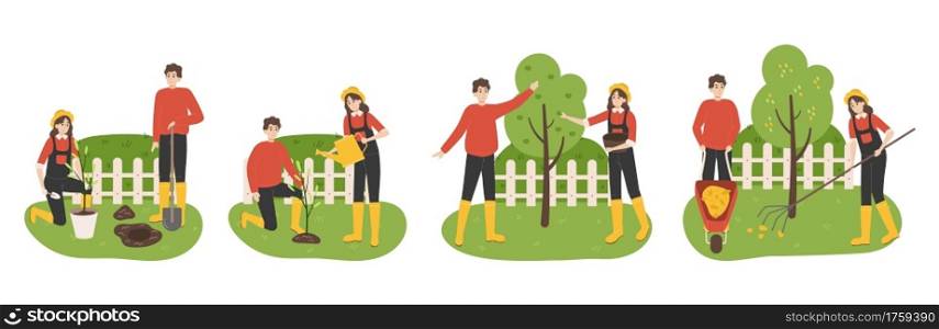 Planting tree. Cartoon family working in garden. Couple digging soil and watering seedlings in spring. Agricultural workers harvesting apples and collecting fallen leaves in autumn. Vector gardening. Planting tree. Family working in garden. Couple digging soil and watering seedlings in spring. Agricultural workers harvesting and collecting fallen leaves in autumn. Vector gardening