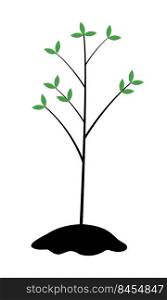 Planting tree seedling semi flat color vector object. Gardening activity. Full sized item on white. Transplanting sapling. Simple cartoon style illustration for web graphic design and animation. Planting tree seedling semi flat color vector object