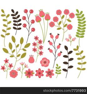 Plants and flowers on a white background. Vector illustration