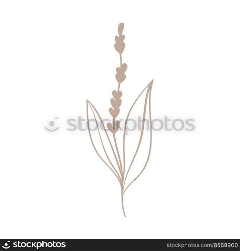 Plants and herbs forest and field useful organic icon. Simple linear plant emblem