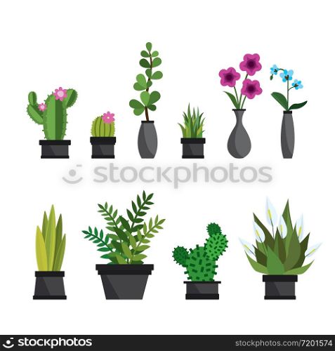 Plants,flowers and cactus in pots,natural elements,isolated on white background,flat vector illustration