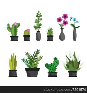 Plants,flowers and cactus in pots,natural elements,isolated on white background,flat vector illustration