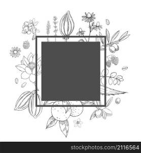 Plants for natural cosmetics. Organic cosmetics background. Vector frame with hand drawn plants. Organic cosmetics background.