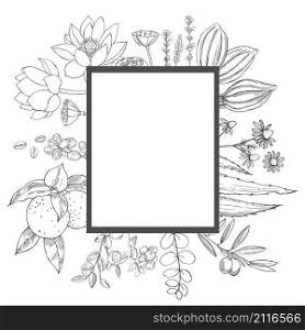 Plants for natural cosmetics. Organic cosmetics background. Vector frame with hand drawn plants. Organic cosmetics background.