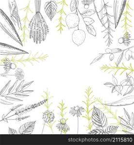 Plants for natural cosmetics. Organic cosmetics background. Vector illustration. Plants for natural cosmetics. Vector illustration