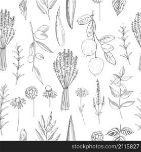 Plants for natural cosmetics. Organic cosmetics background. Vector seamless pattern.. Plants for natural cosmetics. Vector seamless pattern.