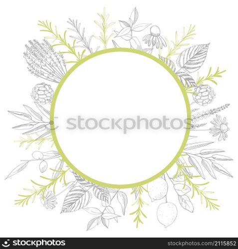 Plants for natural cosmetics. Organic cosmetics. Vector frame.