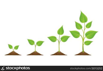 Plants growing icons isolated on white. Planting. Plants grow isolated on white background or plant seed, growing and cultivation vector illustration