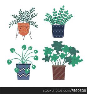 Plants growing in pots vector, herbs and foliage with different shape of leaves. Summer plantation, vegetation for home decor, vases for house set. Flora in Pots, Set of Botanical Potted Plants
