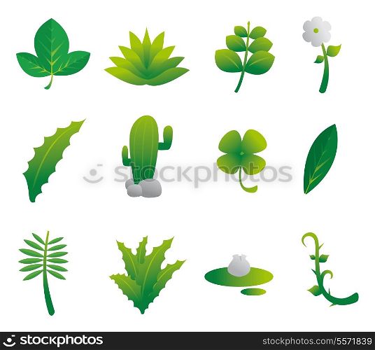 Plants Nature Set