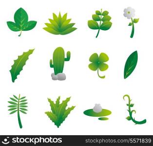 Plants Nature Set